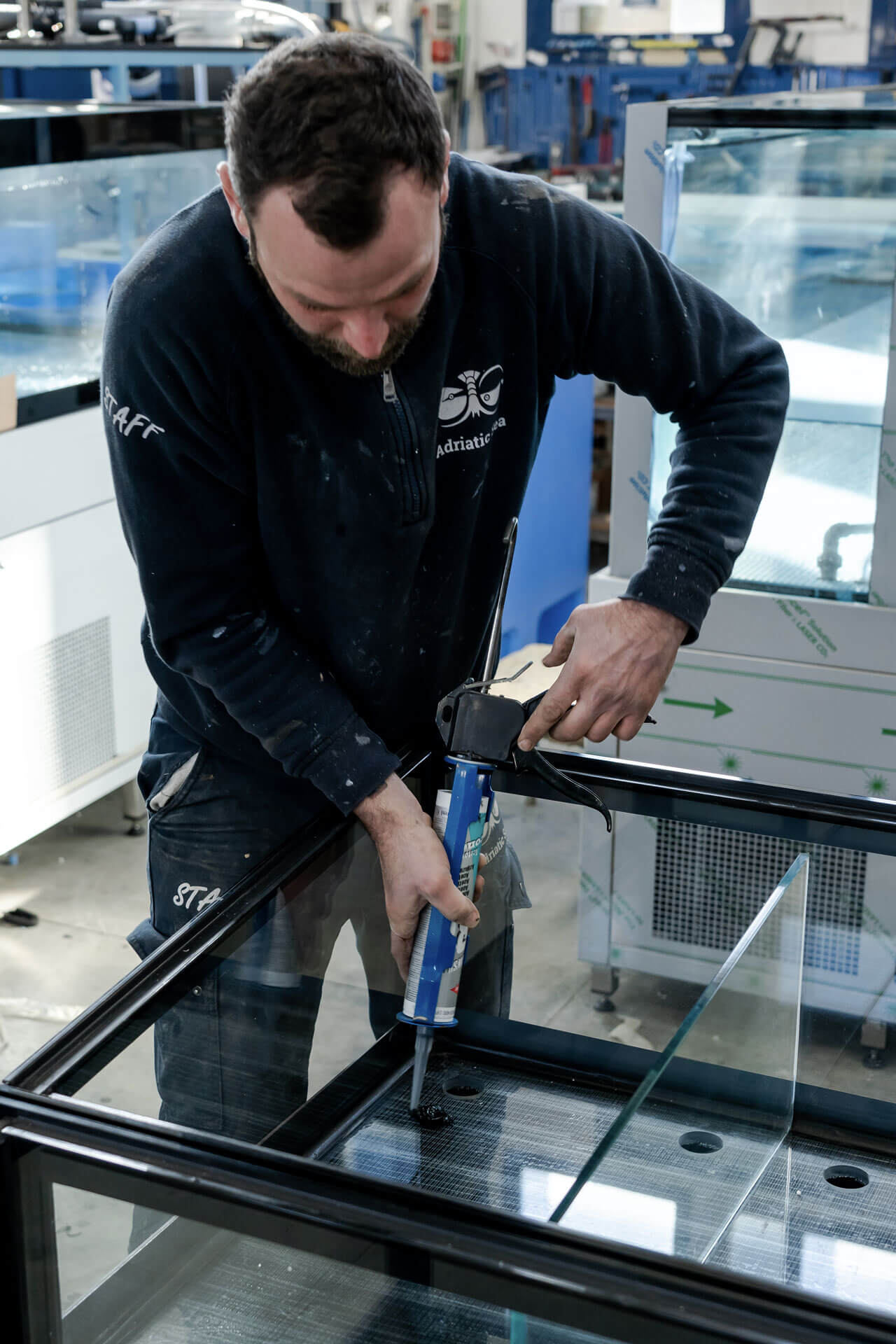 Production Aquarium Mer Adriatique
